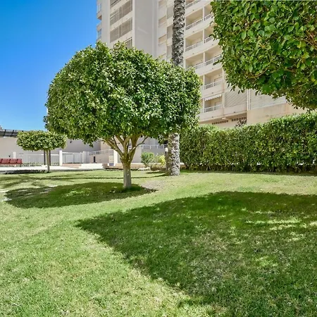 Homeincalpe Apolo Xvi 2-15-68 * Calpe