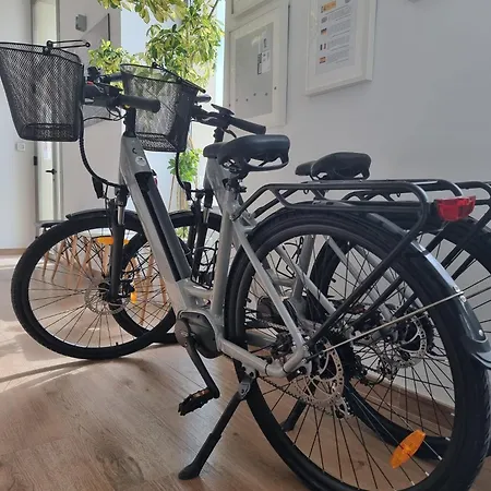 Lägenhet Homeincalpe Apolo Xvi 2-15-68 *